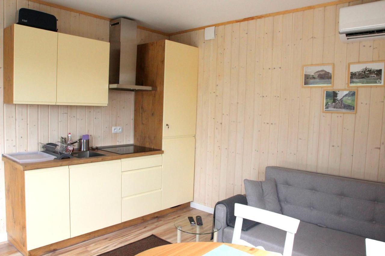 Apartamenty Pod Wilczakiem Злоторыя Экстерьер фото